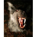 Réplique Loup-garou