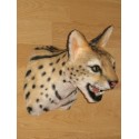 Serval