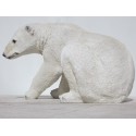 ours polaire resine