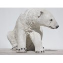 ours polaire resine