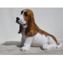 chiot basset hound