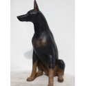 chien dobermann, taille réelle.