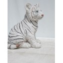 bébé tigre blanc