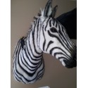 Réplique zèbre