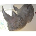 Réplique rhinocéros noir taille réelle.