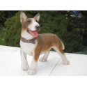 chien Bullterrier
