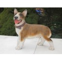 chien Bullterrier