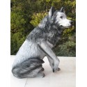 Loup assis  en résine, taille réelle