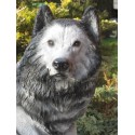 Loup assis  en résine, taille réelle