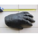 Reproduction d'une main de Gorille Africain