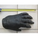 Reproduction d'une main de Gorille Africain