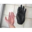 Reproduction d'une main de Gorille Africain