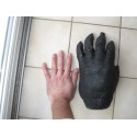 Reproduction d'une main de Gorille Africain
