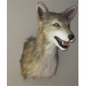 Réplique coyote