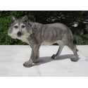 loup en résine