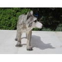 loup en résine