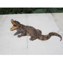 bébé crocodile