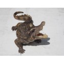 bébé crocodile