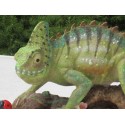 caméléon  taille réelle