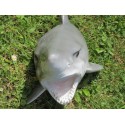 réplique trophée de requin en résine
