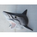 réplique trophée de requin en résine
