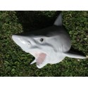 réplique trophée de requin en résine