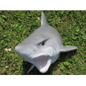 réplique trophée de requin en résine