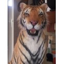 Tigre ou lion  entier taille réelle