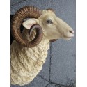 réplique trophée bélier en résine
