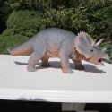 tricératops