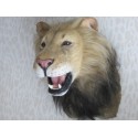 Réplique Lion haletant, non agressif