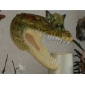 Trophée tête de crocodile 