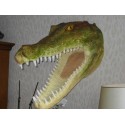 Trophée tête de crocodile 