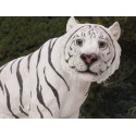 statue de tigre blanc
