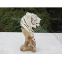Trophée  tigre blanc