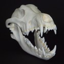 Crâne de loup