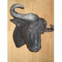 Trophée tête de buffle Africain