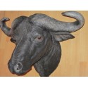 Trophée tête de buffle Africain