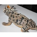 Lézard  cornu  PVC