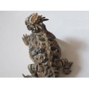 Lézard  cornu  PVC