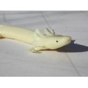 Axolotl   PVC