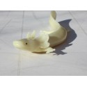 Axolotl   PVC