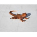 Lézard  dragon barbu  PVC