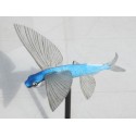 Poisson volant  PVC
