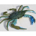 crabe taille réelle