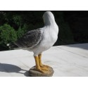 Réplique goéland résine