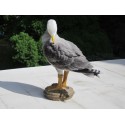 Réplique goéland résine