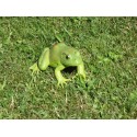 Grenouille verte