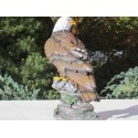 Aigle pygargue à tête blanche résine