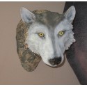 Trophée mural loup en résine, taille réelle